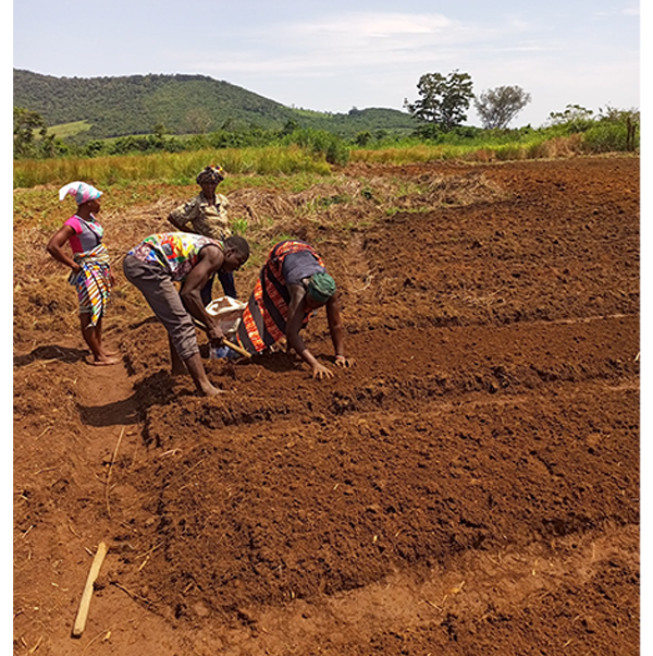 Climate-smart agriculture training session